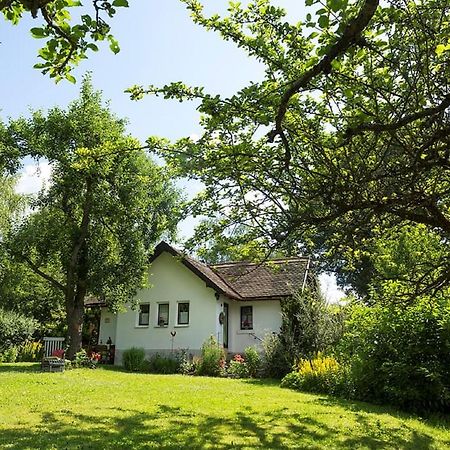 Ferienhaus Am Alten Bahndamm Waldsassen Exteriör bild